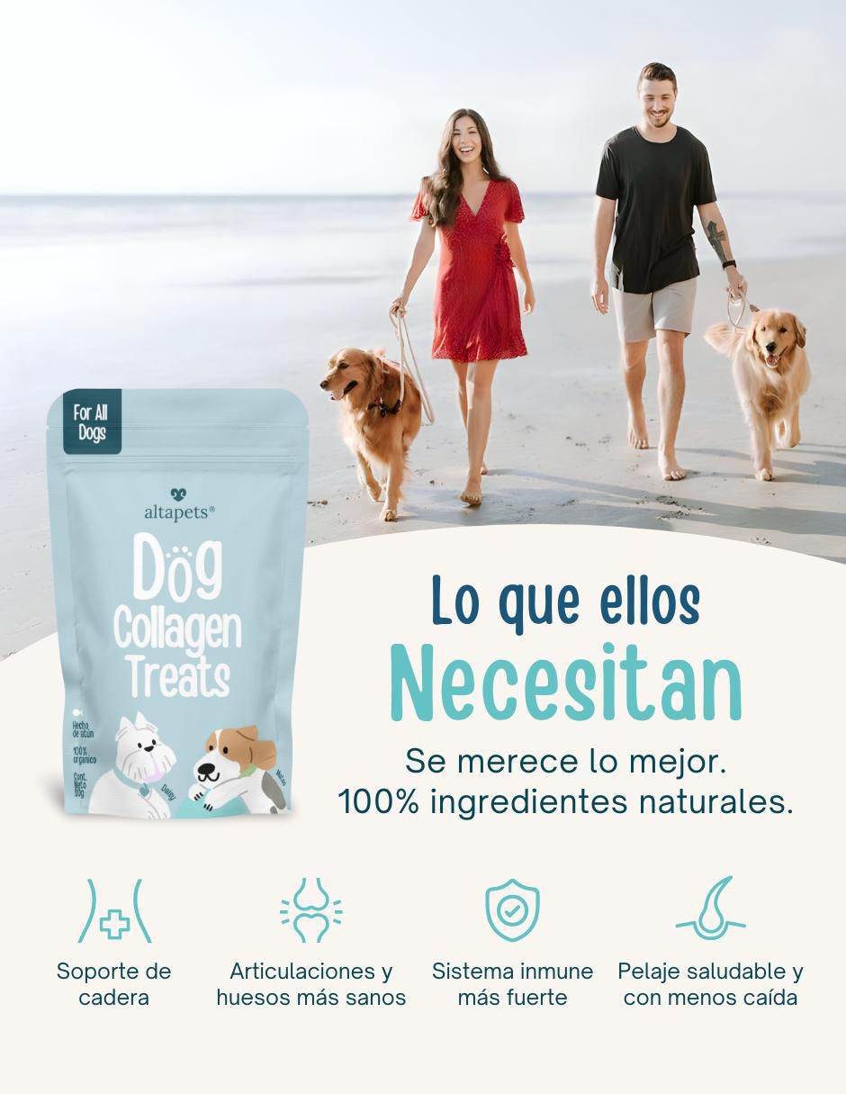 Colágeno para mascotas para perro 5