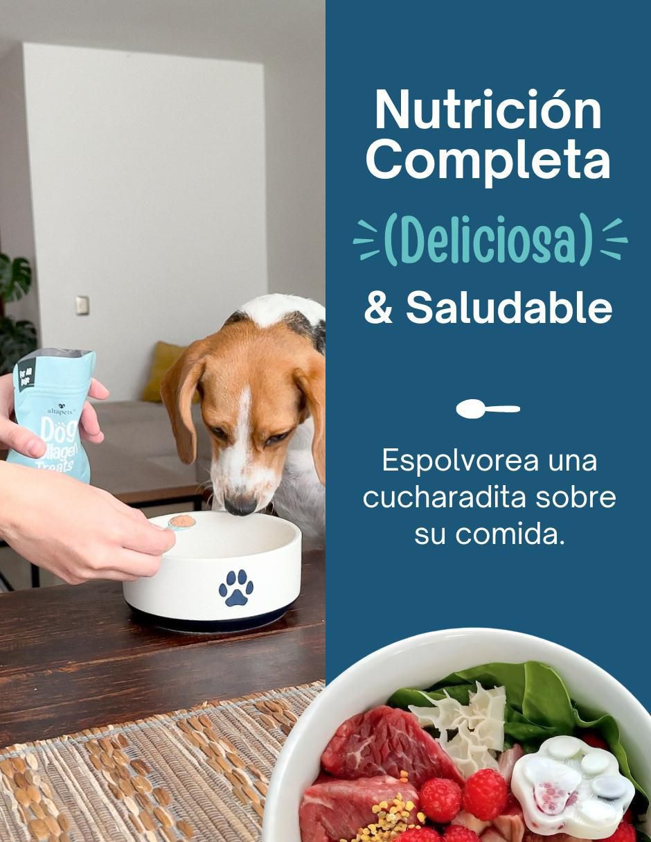 Colágeno para mascotas para perro