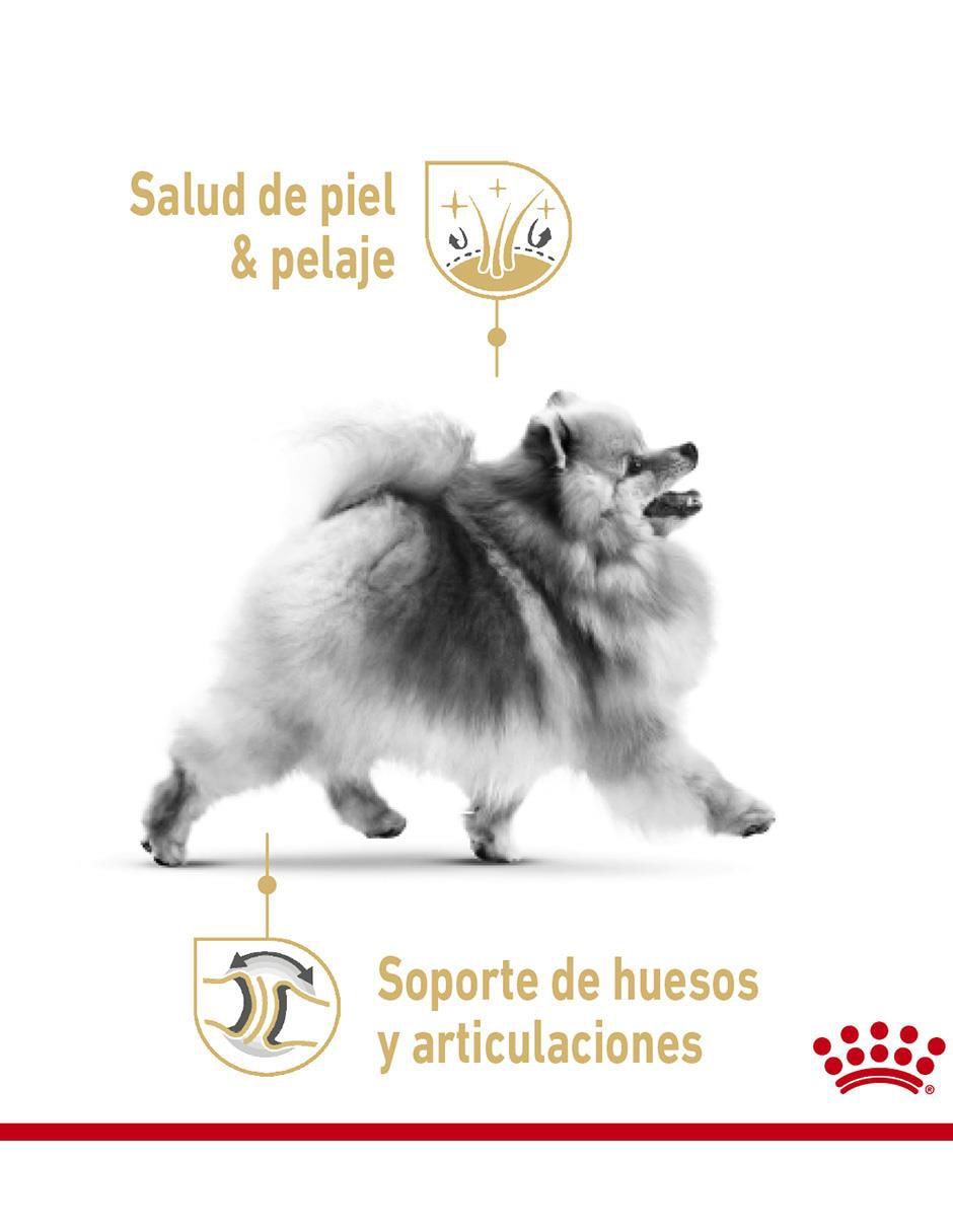 Croqueta Royal Canin de pollo para perro etapa adulto raza pequeña 5