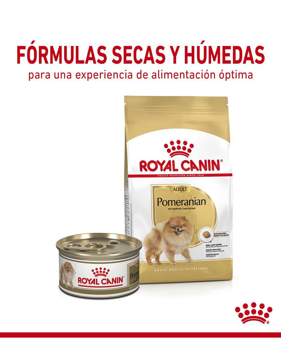 Croqueta Royal Canin de pollo para perro etapa adulto raza pequeña 2