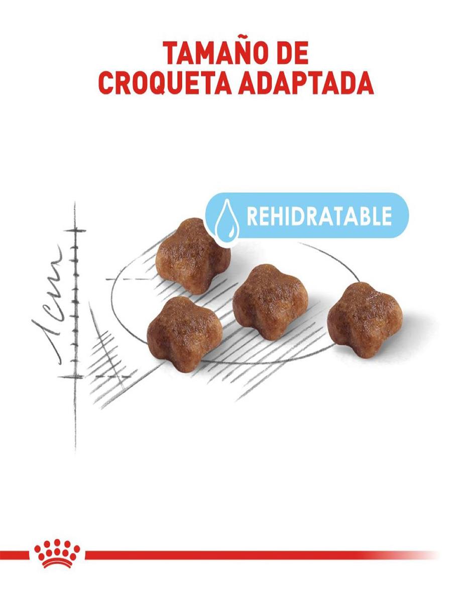 Croqueta de Pollo para gato etapa cachorro contenido 1.37 kg 3