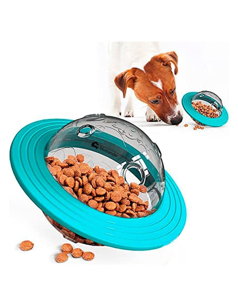 Plato para mascota 5