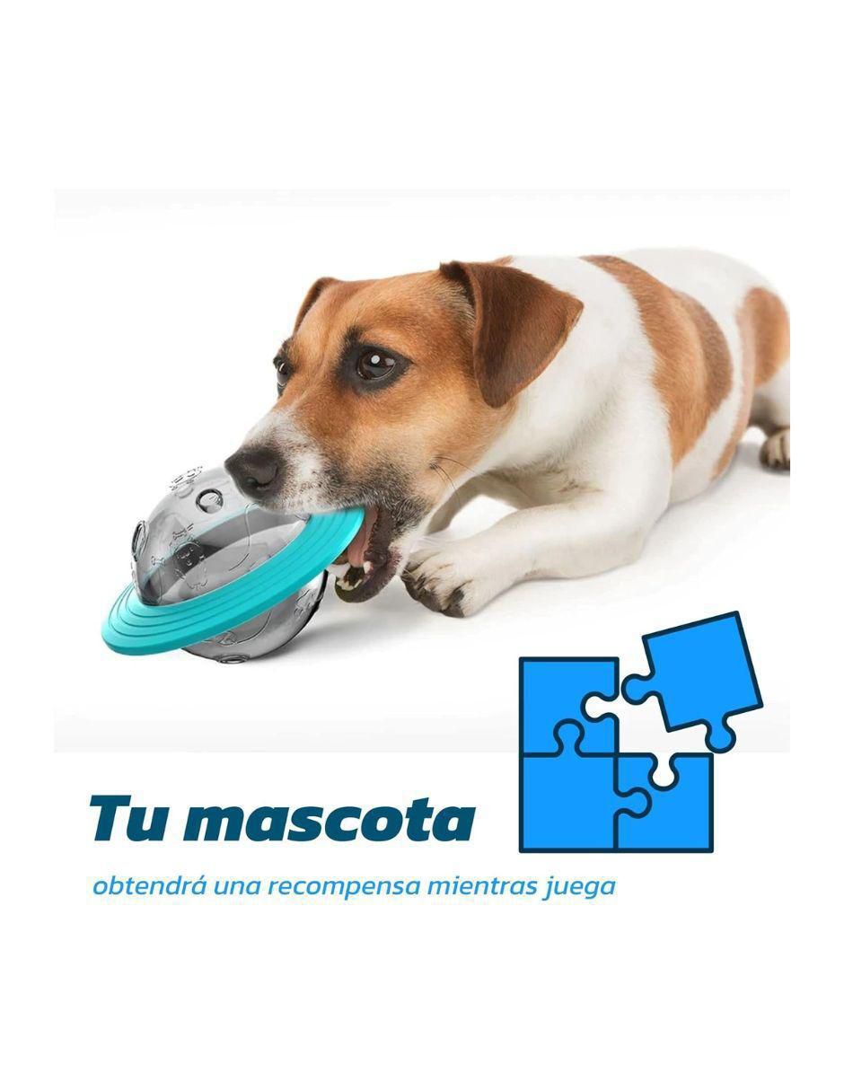 Plato para mascota