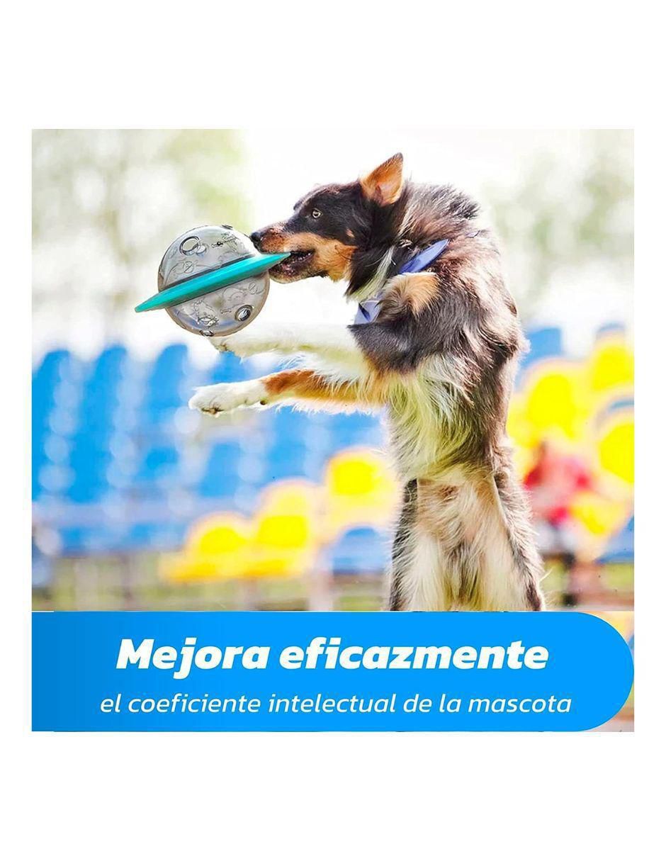 Plato para mascota