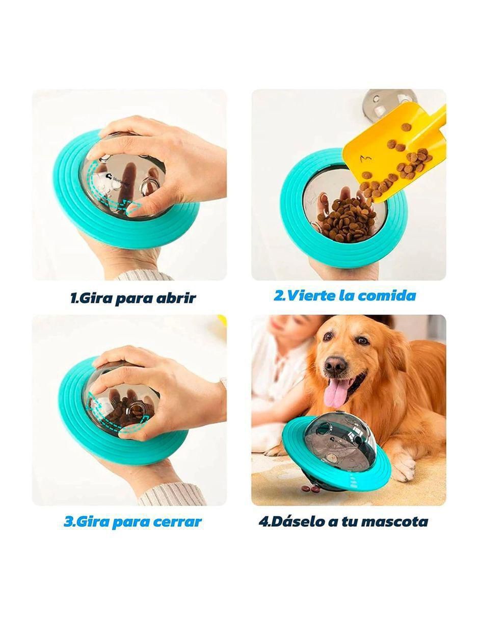 Plato para mascota