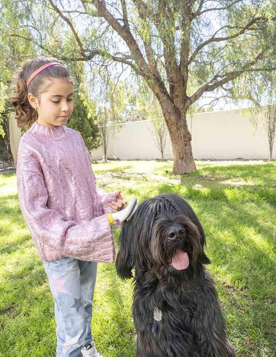 Cepillo Pet to Bed de plástico para perro