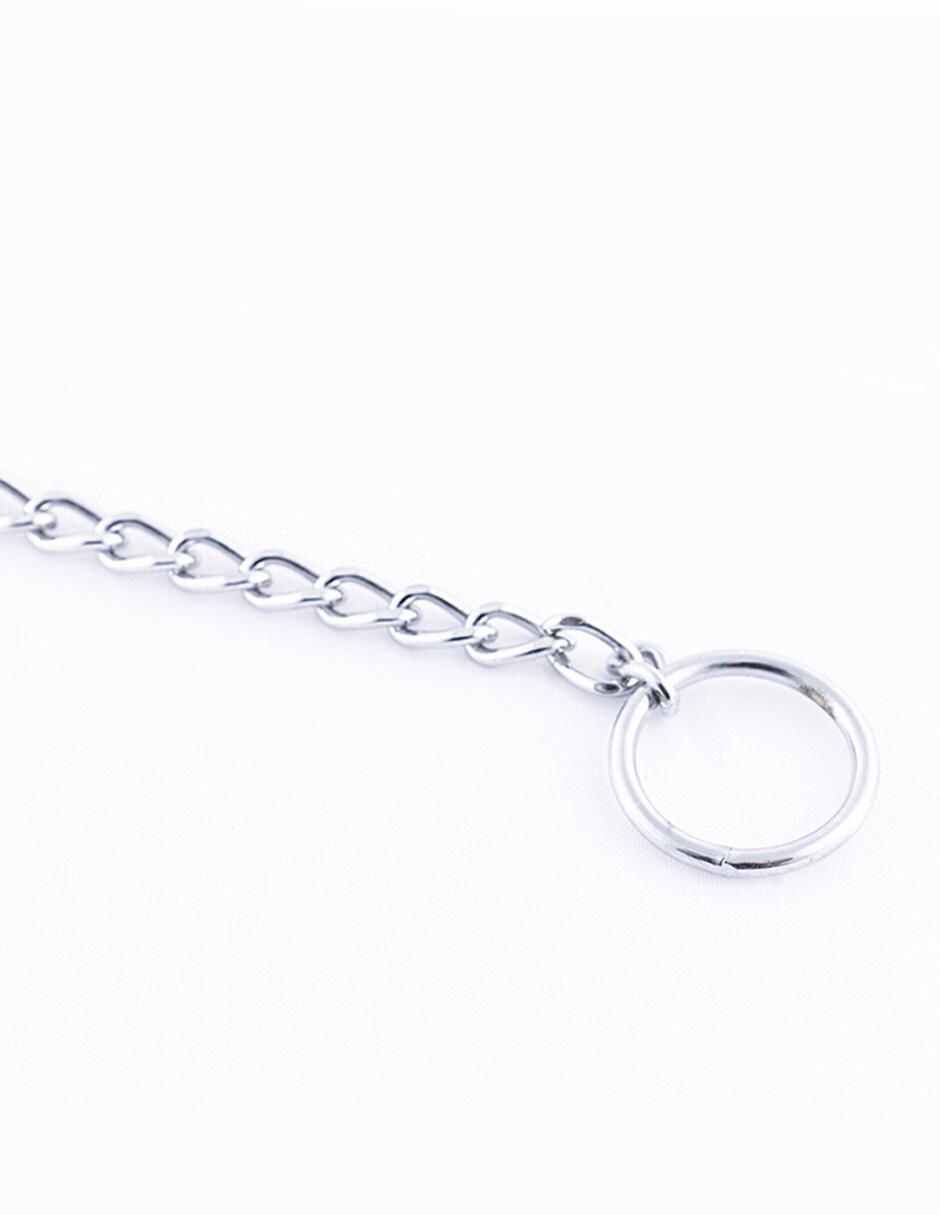 Collar Pet to Bed de acero para perro
