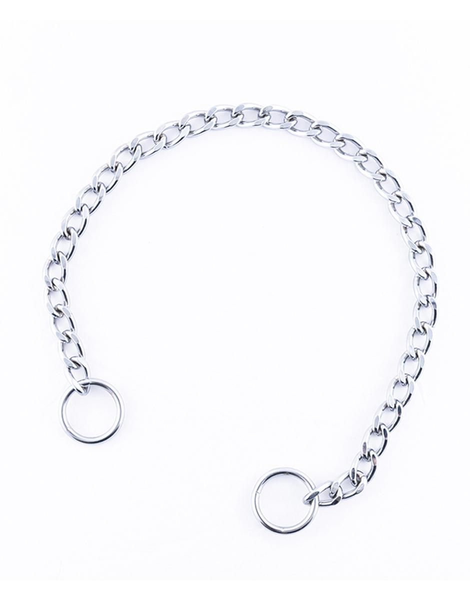 Collar Pet to Bed de acero para perro