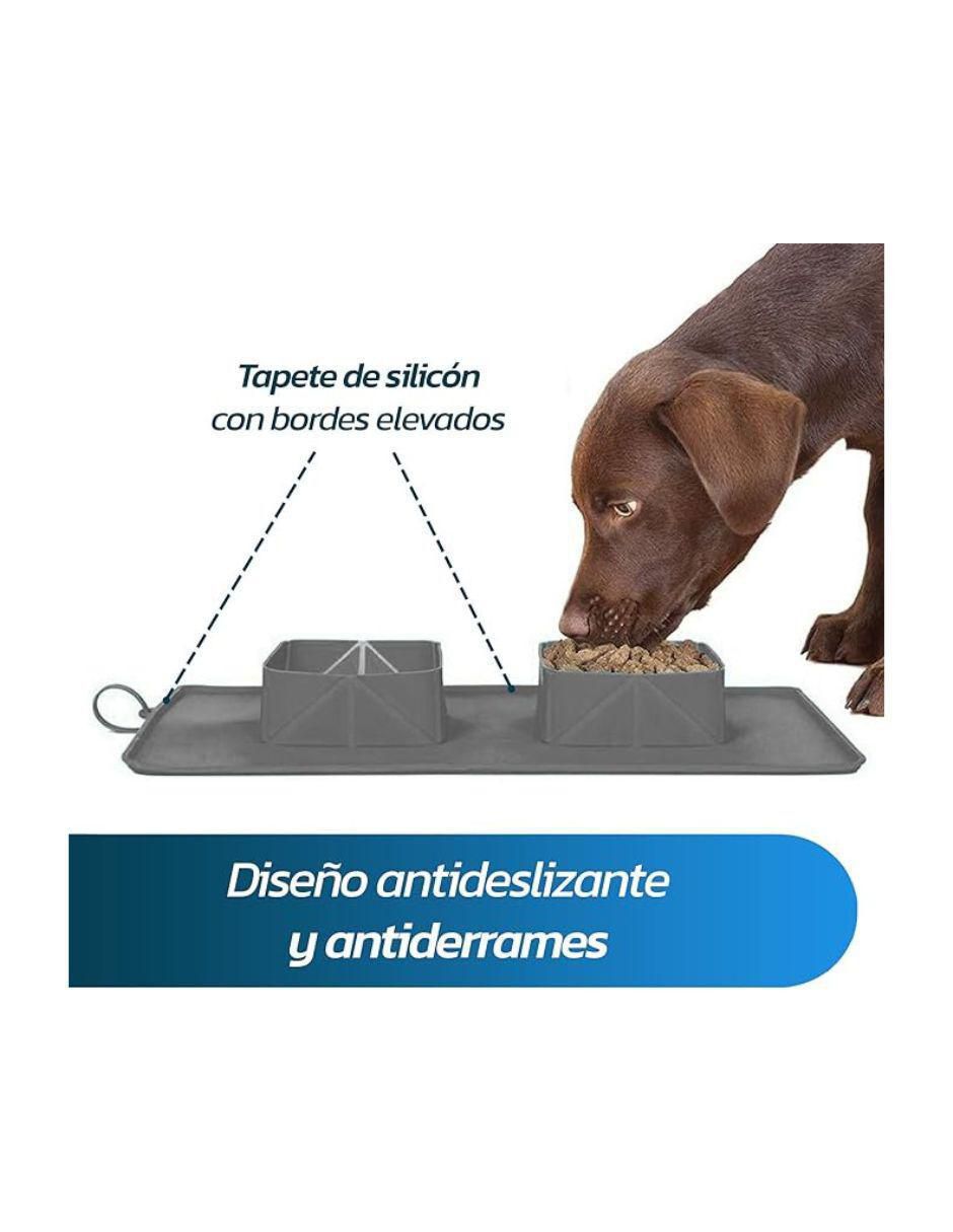 Plato para perro y gato 2