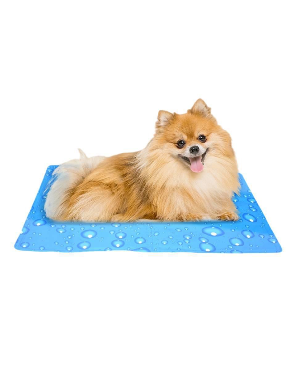 Cama de gel para perro