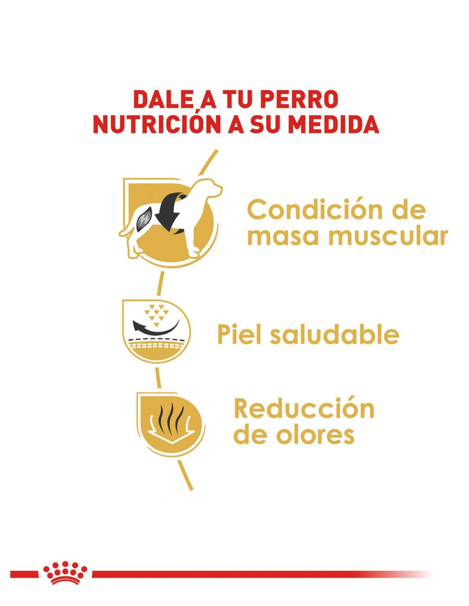 Croqueta Royal Canin de pollo para perro etapa adulto contenido 7.7 kg 2
