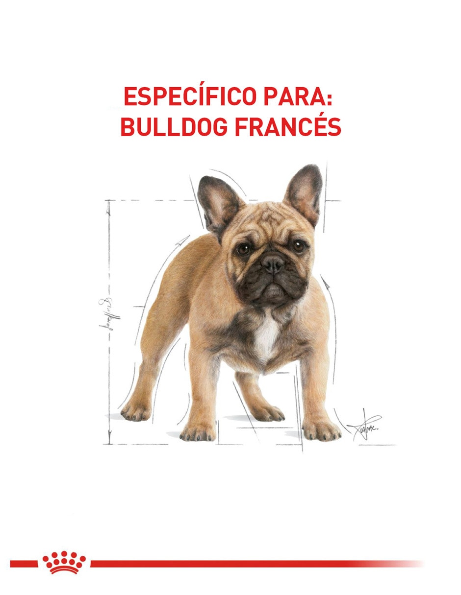 Croqueta Royal Canin de pollo para perro etapa adulto contenido 7.7 kg 6