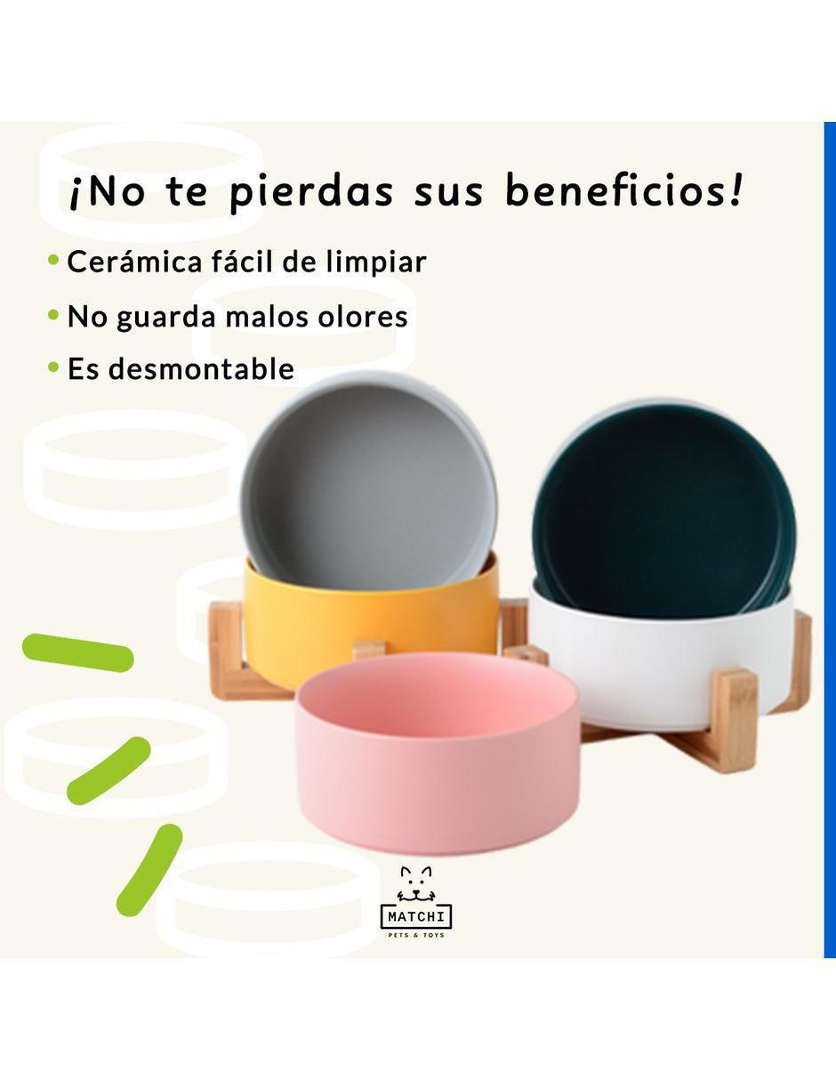 Plato para todas las especies