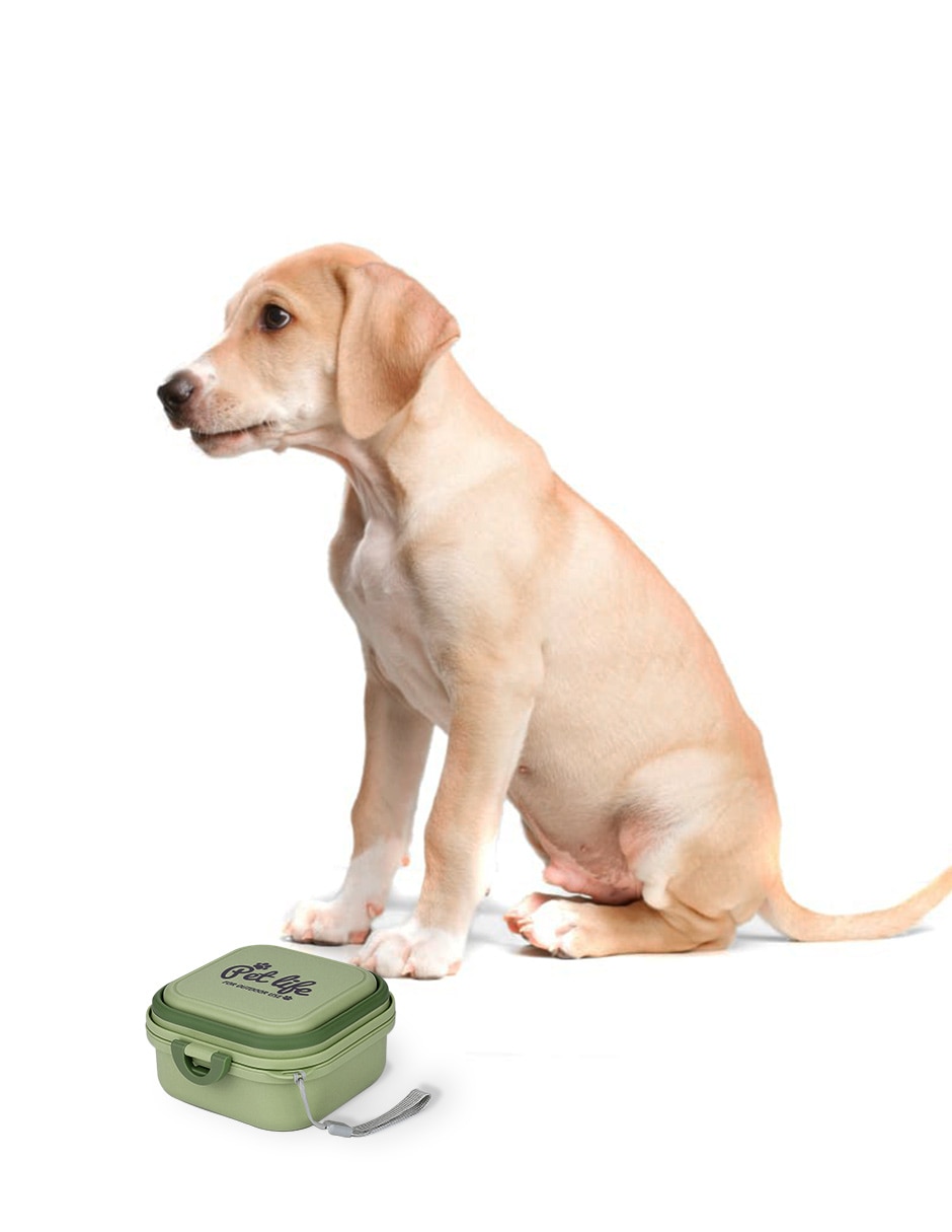 Contenedor para mascota 2