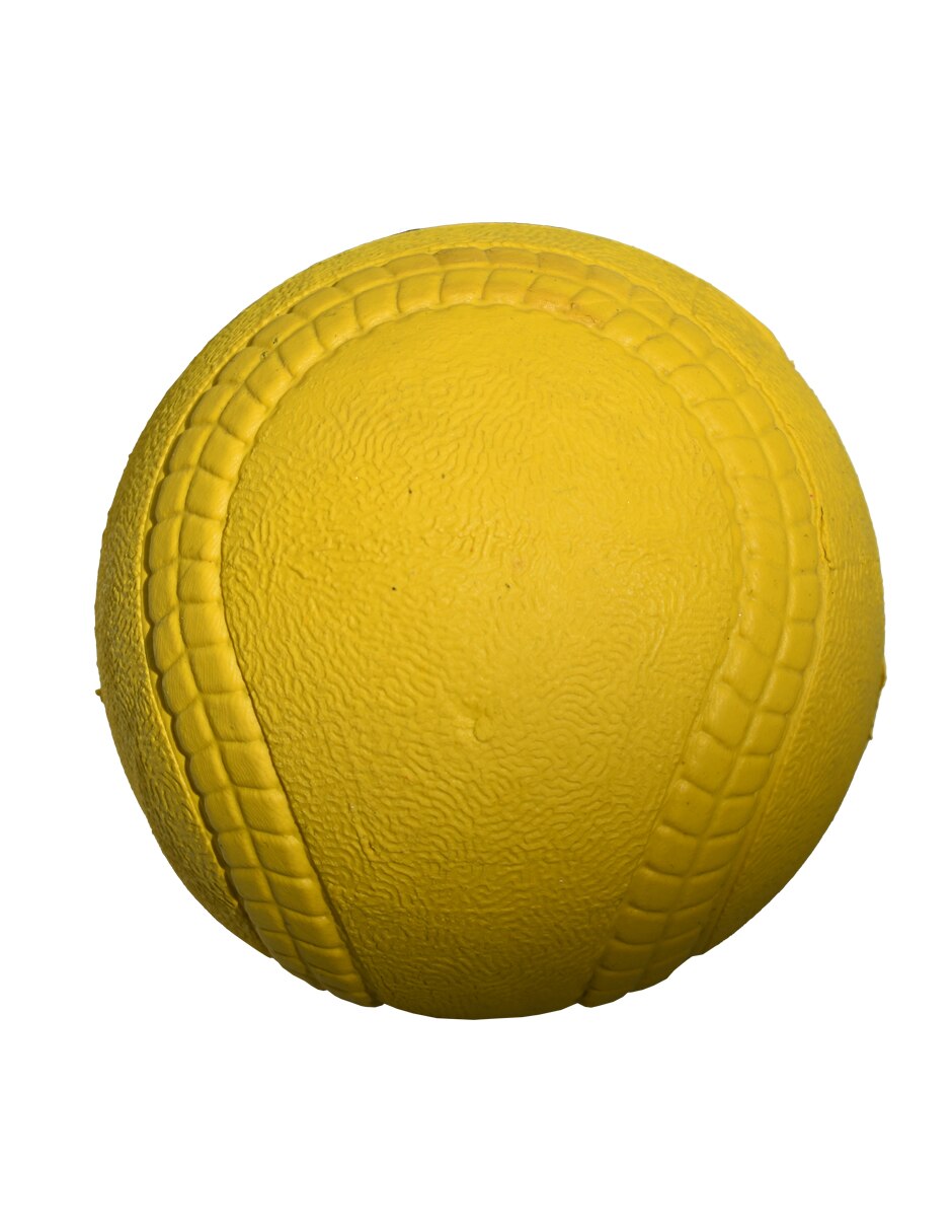 Pelota para perro 3