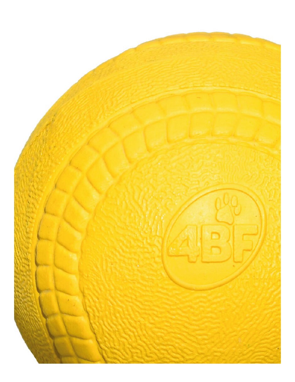Pelota para perro 4