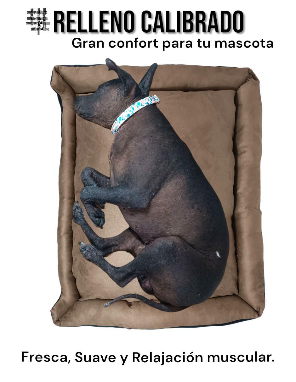 Cama para perro y gato 2