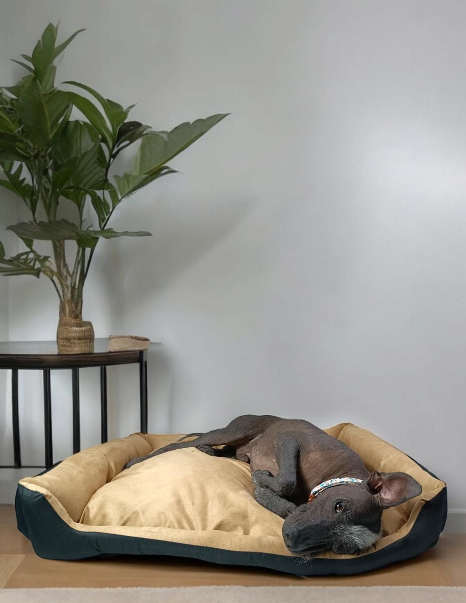 Cama para perro y gato Lunics