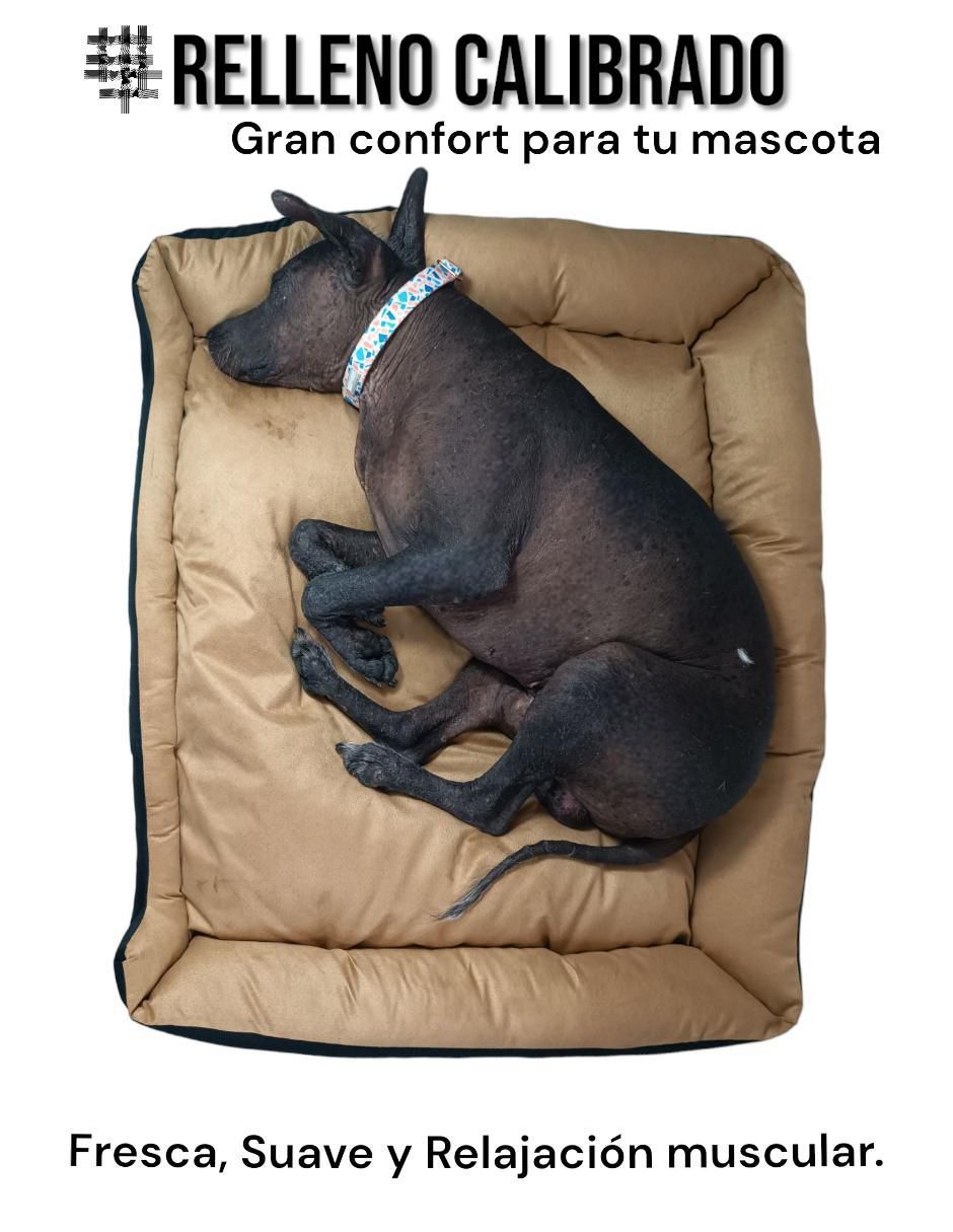 Cama para perro y gato Lunics