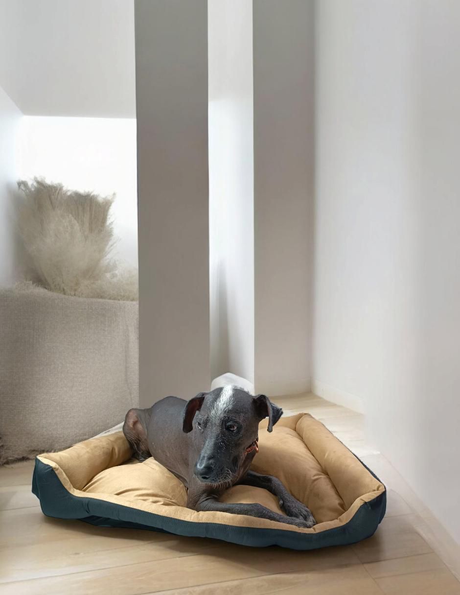 Cama para perro y gato Lunics