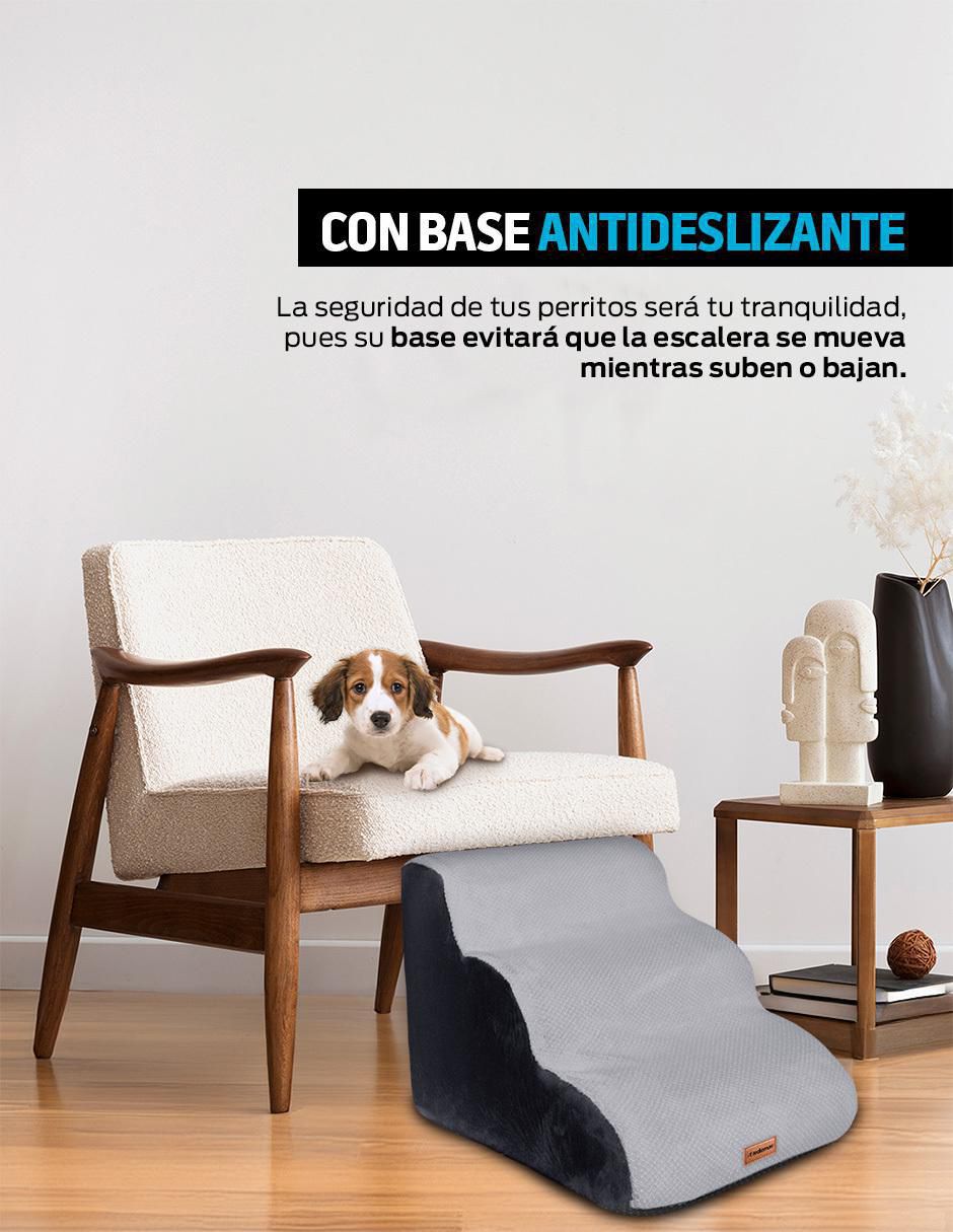 Escalera para perro