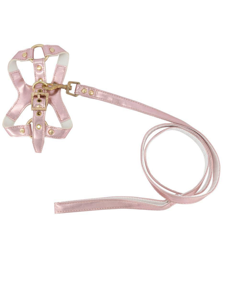 Collar decorativo para perro Collar decorativo para perro