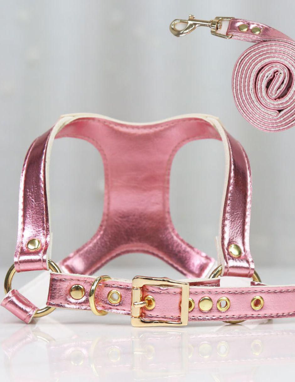 Collar decorativo para perro 3