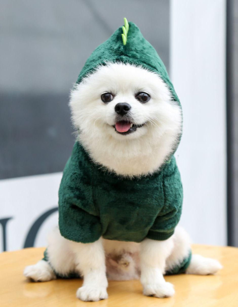 Sudadera para perro 2