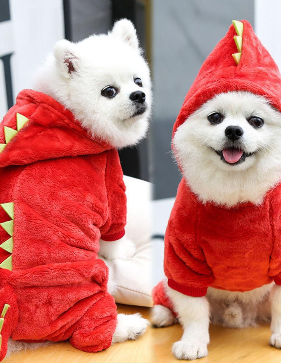 Sudadera para perro Maypet