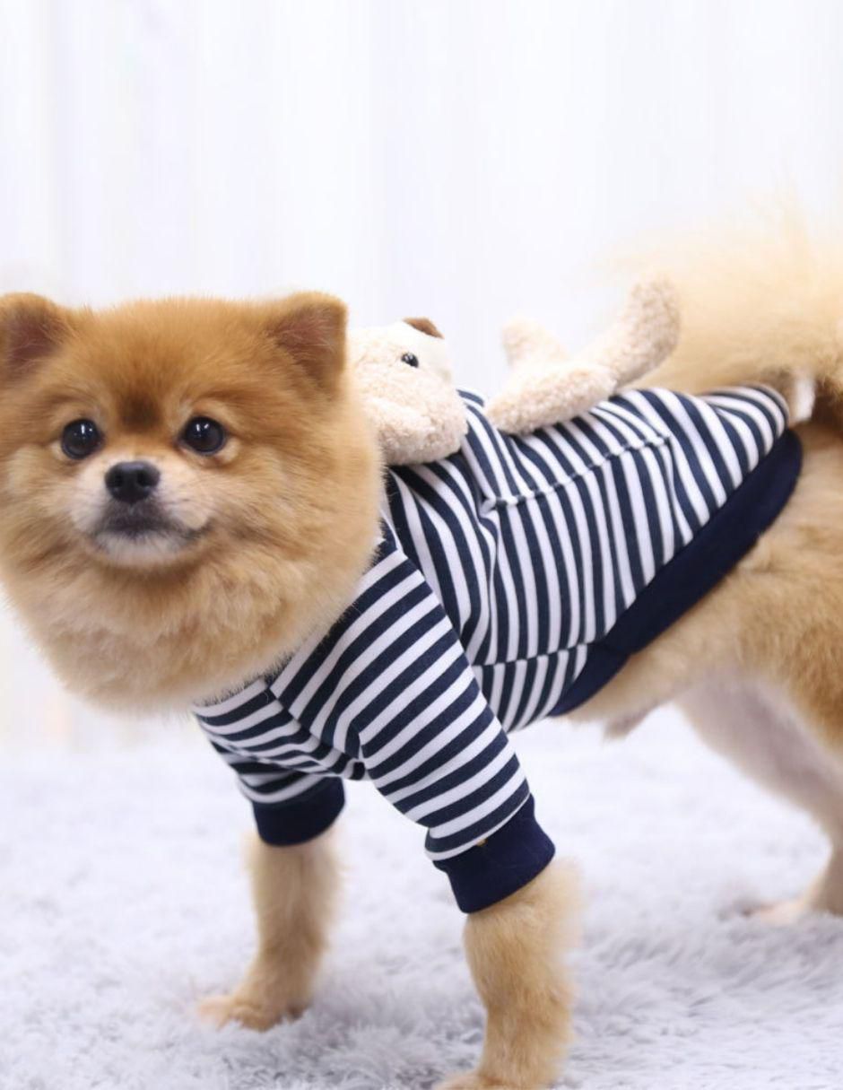 Sudadera para perro 3