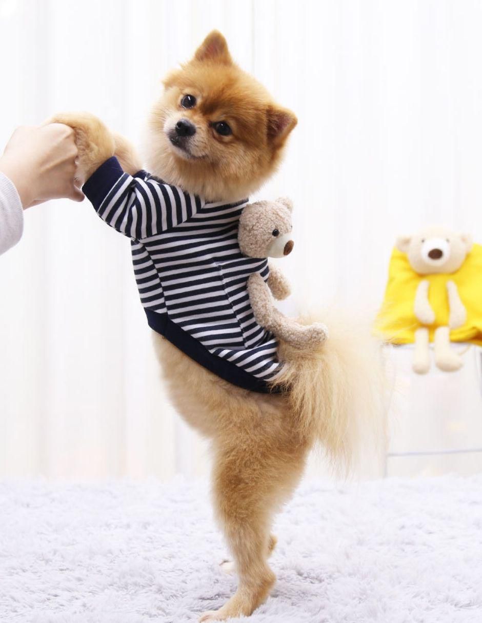 Sudadera para perro 2