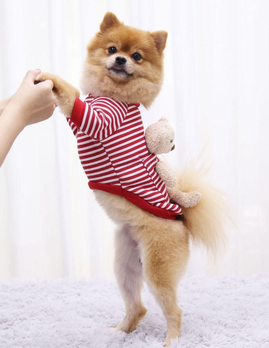 Sudadera para perro 2