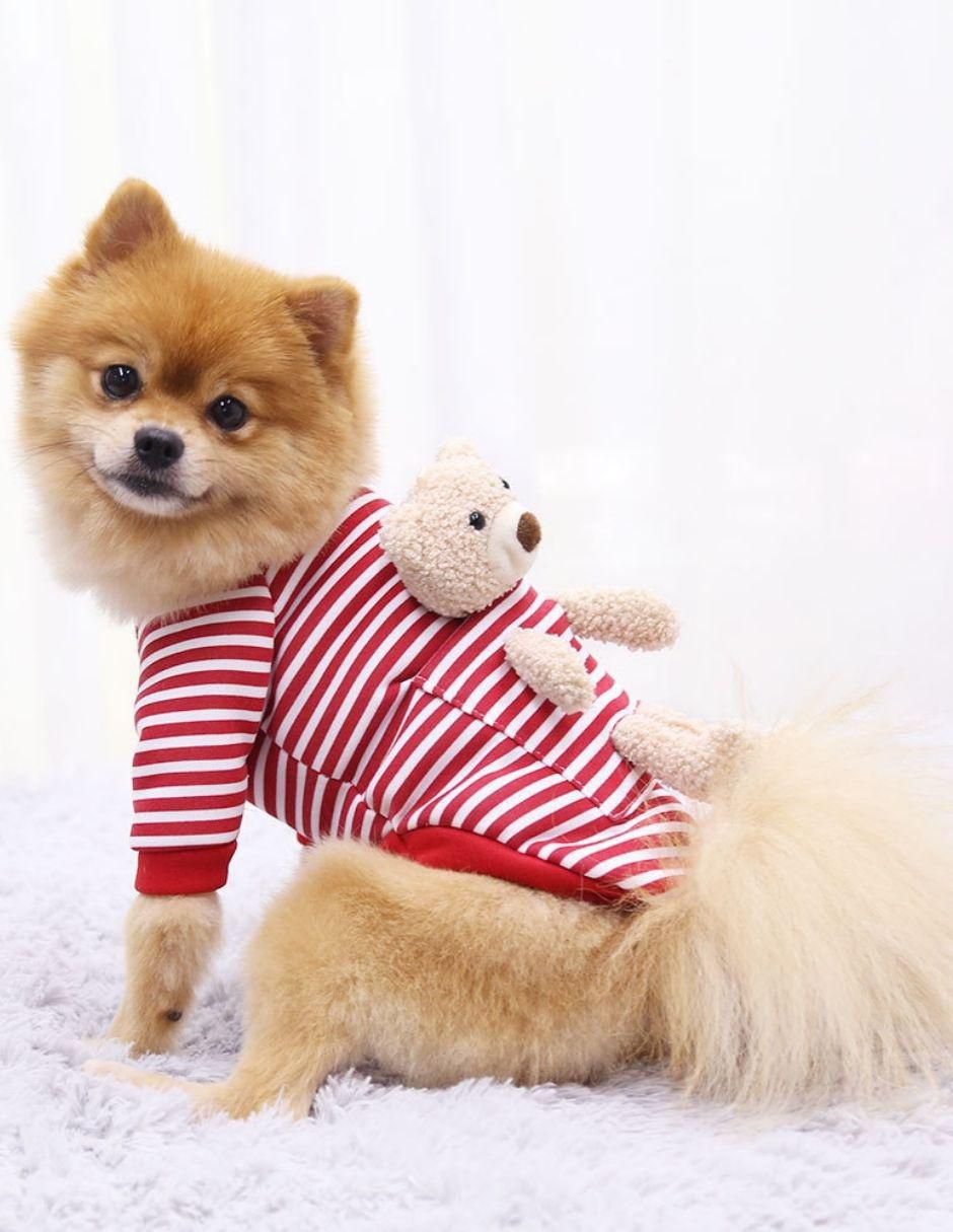 Sudadera para perro 6