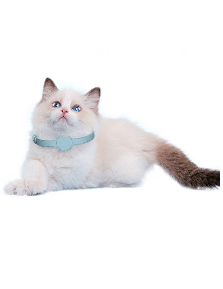 Collar decorativo para mascota 2