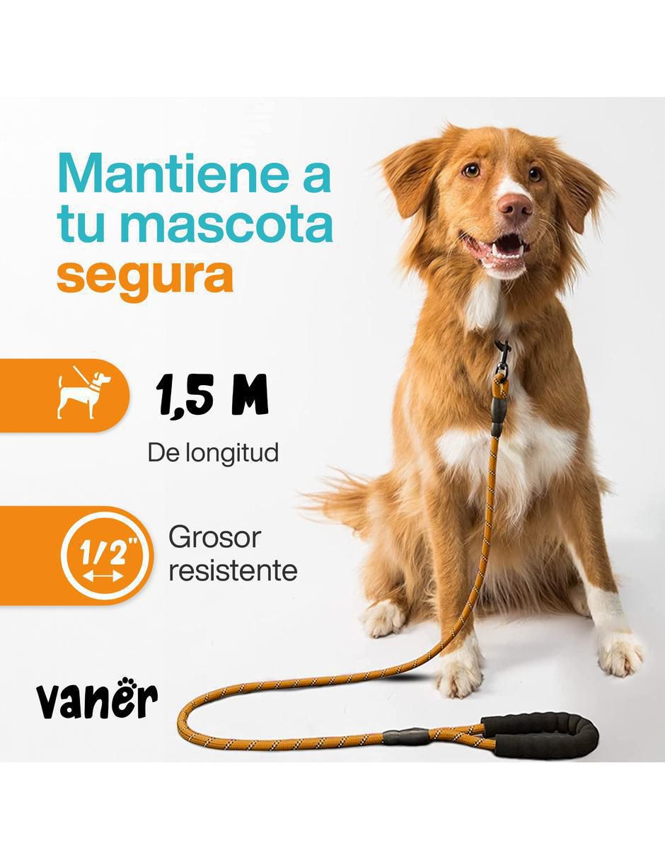 Correa sintética para perro 6