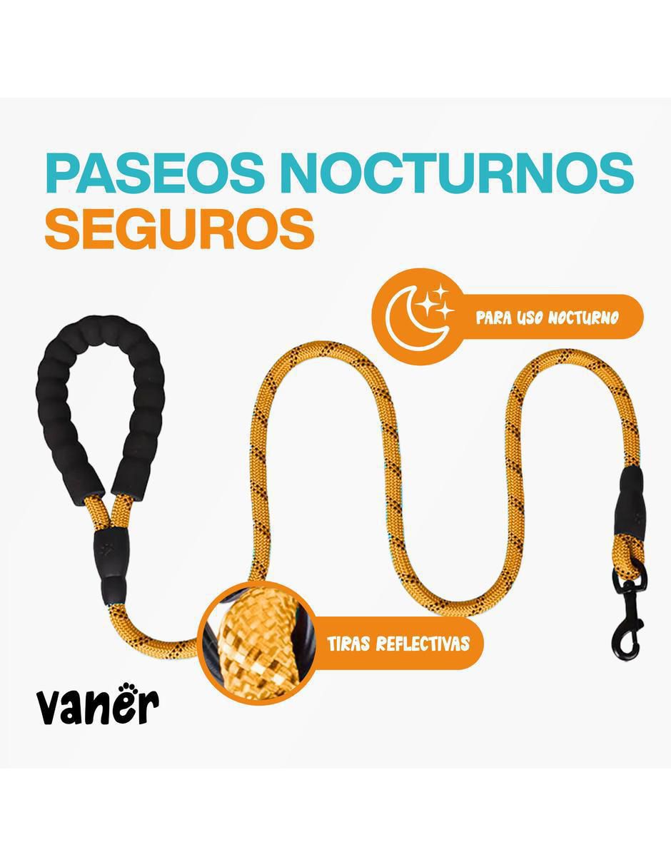 Correa sintética para perro 2