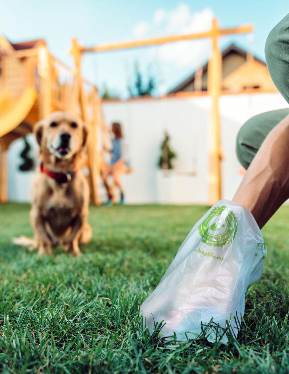 Bolsas de desechos para mascota
