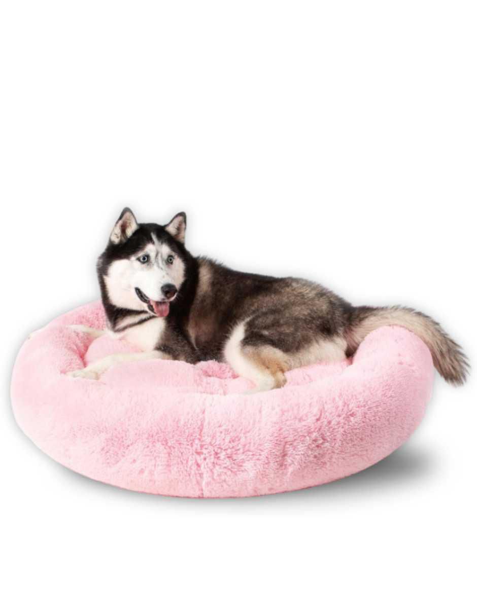 Cama para perro y gato Cama para perro y gato