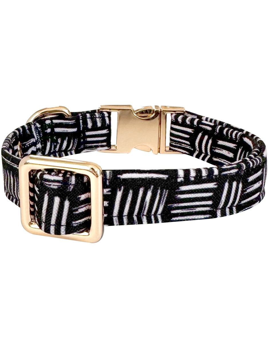 Collar para perro