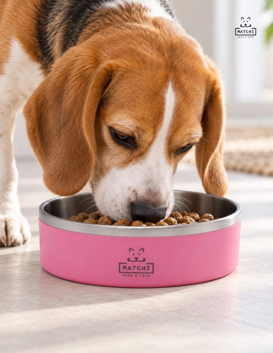 Plato para mascota 5