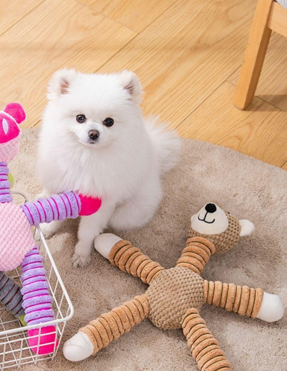Peluche para mascota Oso 4