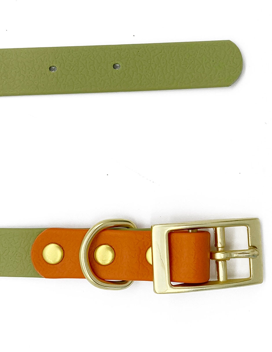 Collar sintético para perro