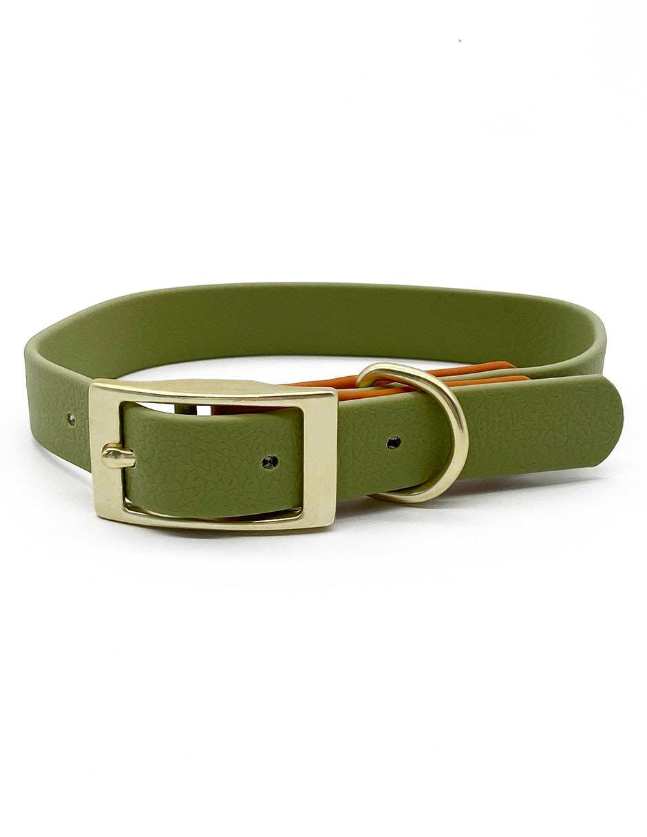 Collar sintético para perro
