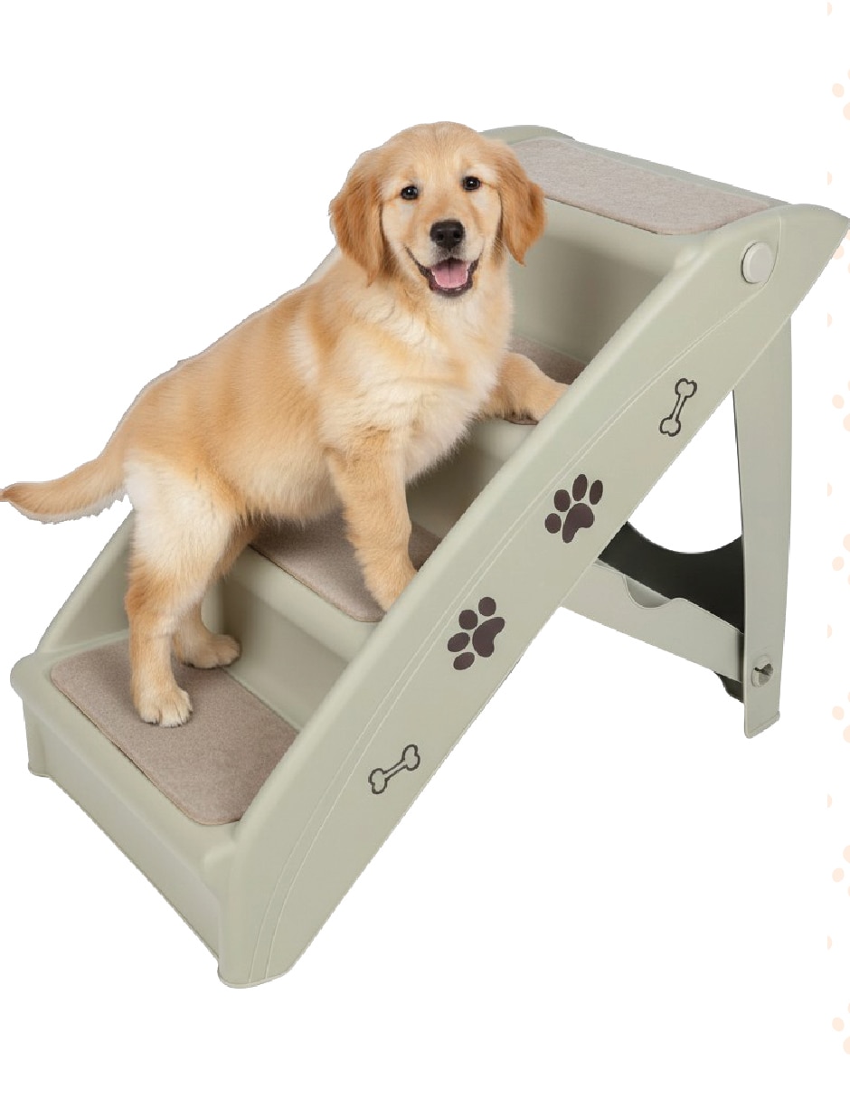 Rampa para perro Rampa para perro