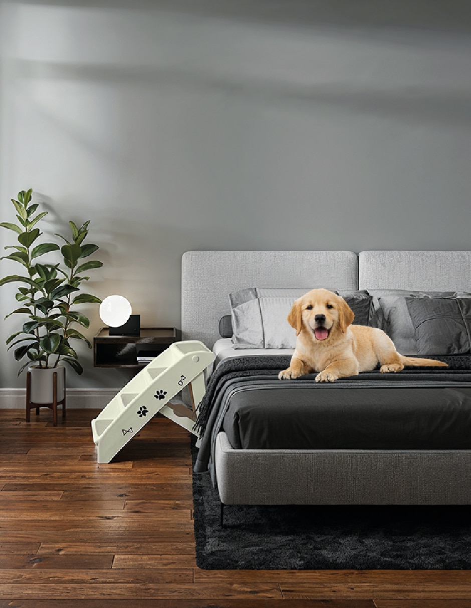 Rampa Poli Pets para perro