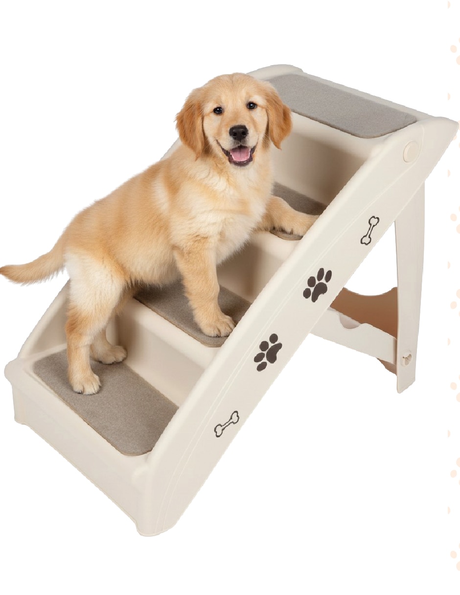 Rampa para mascota para perro Rampa para mascota para perro