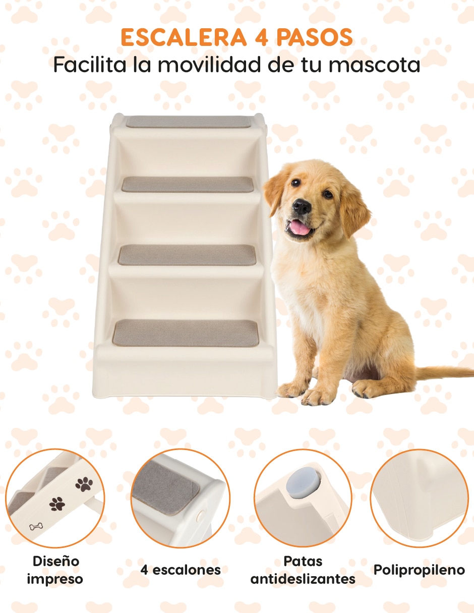 Rampa para perro 5