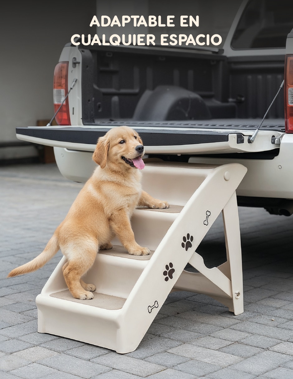 Rampa para perro 8
