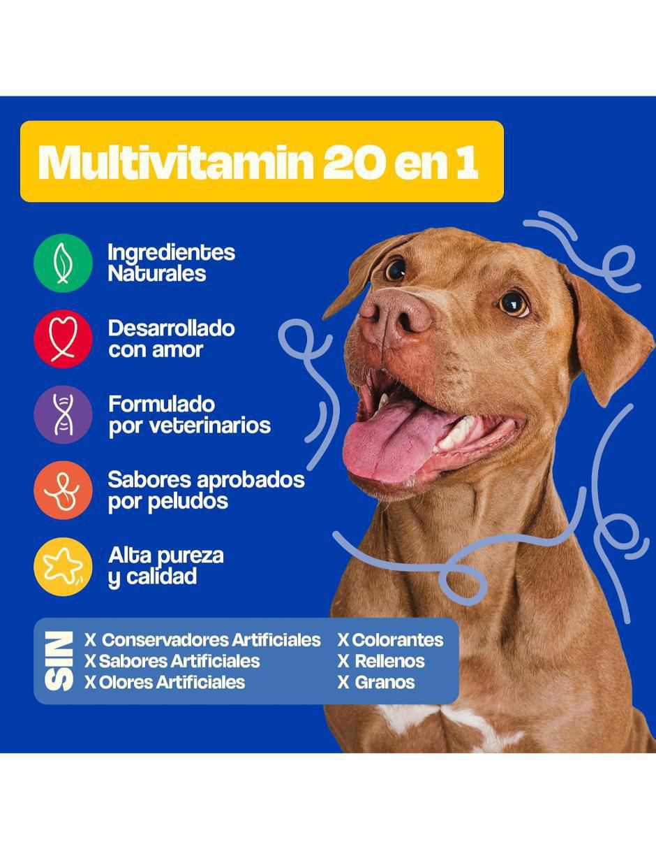 Suplemento alimenticio para mascota Dogelthy