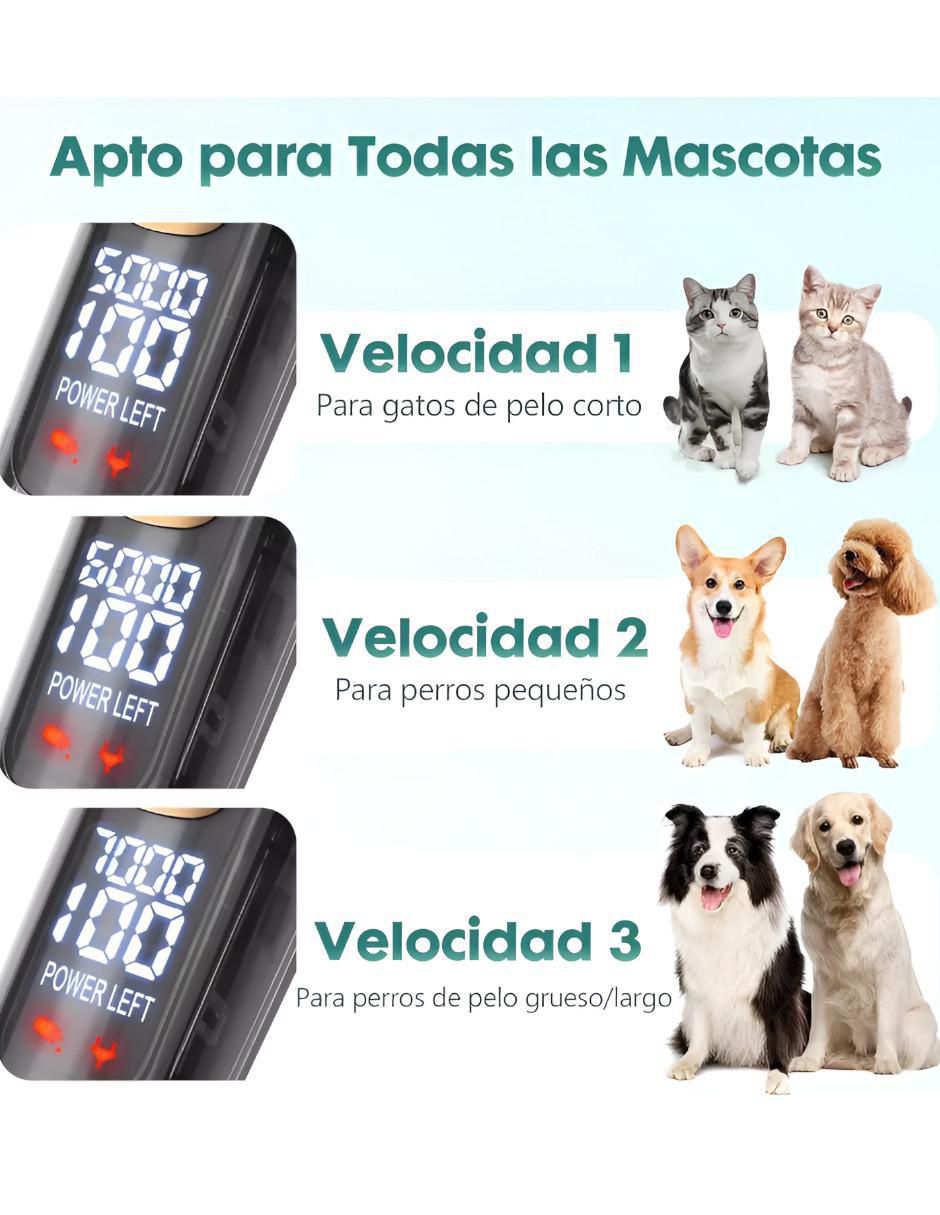 Rasuradora para perro y gato Rasuradora para perro y gato